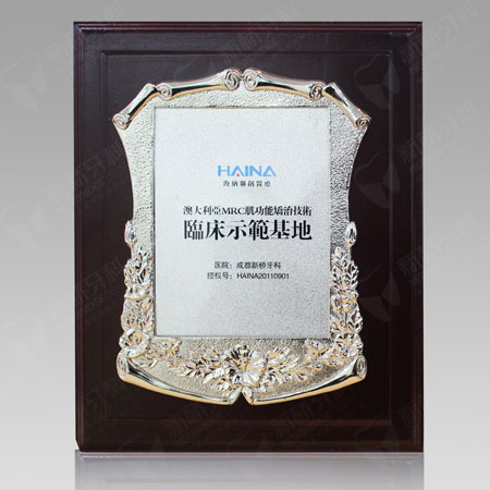 澳大利亚MRC肌功能矫治技术临床示范基地